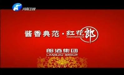 3月2日-4日 河南电视台卫视广告节目收视情况